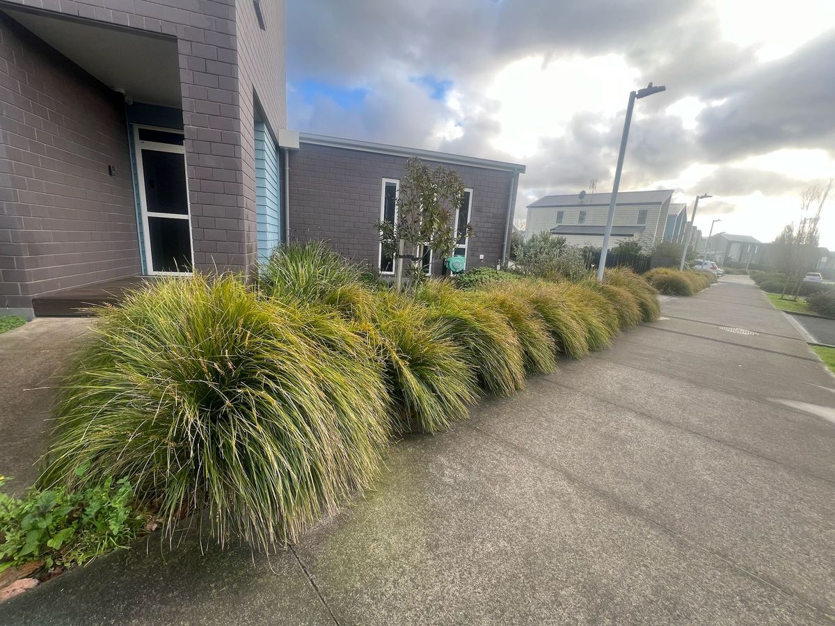 Landscaping Project in Hibiscus Coast