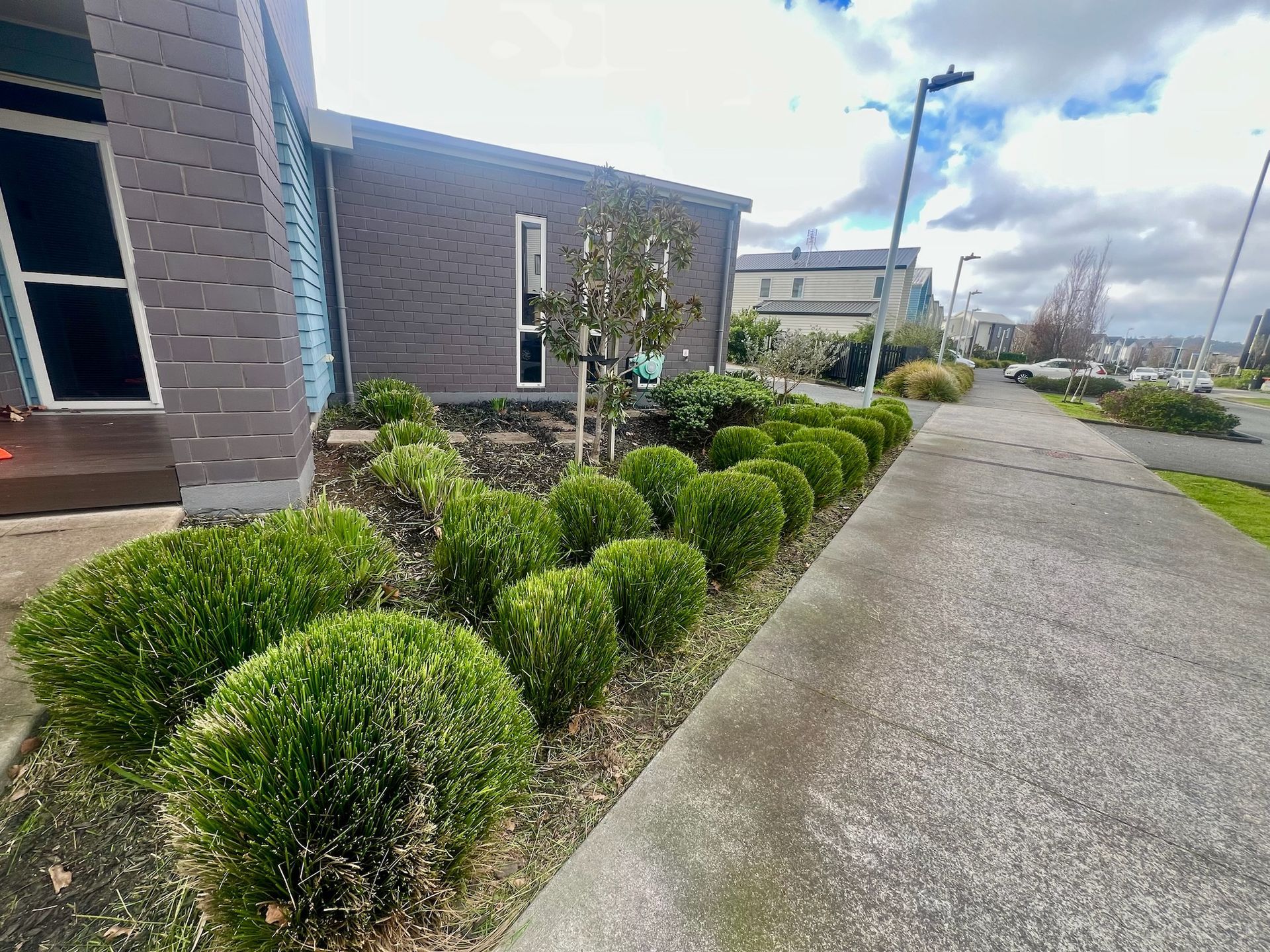 Row of trimmed green bushes next to a sidewalk by a building and road.