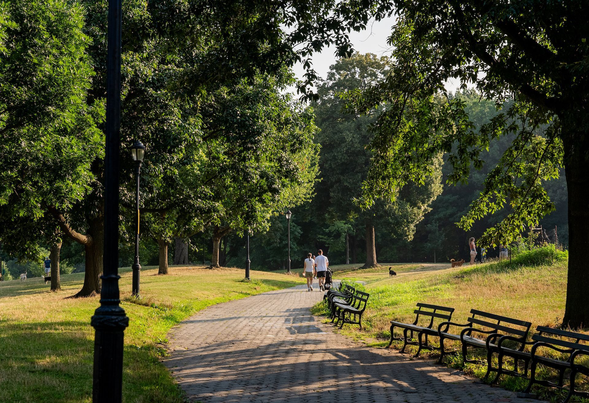 A couple of people are walking down a path in a park.