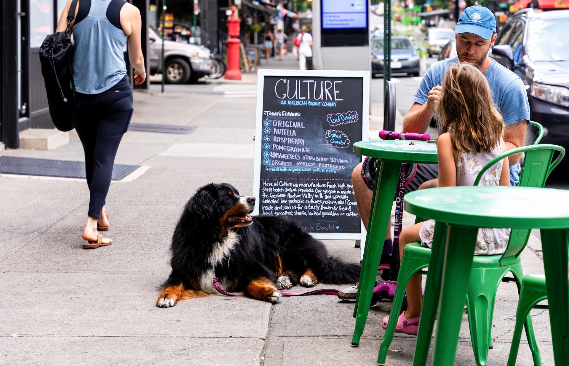A dog is laying on the sidewalk next to a sign that says culture.
