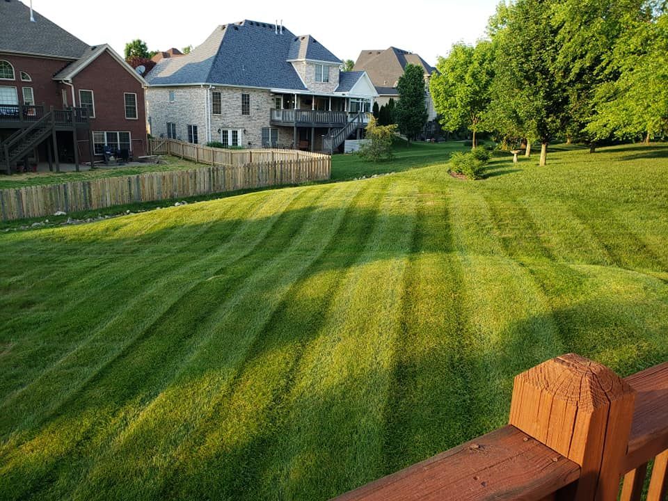 A lush green lawn with a house in the background