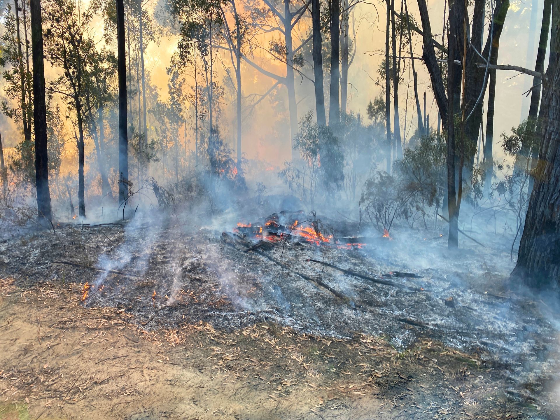 The Ground Burning After A Hazard Reduction Burn - Vail, CO - Snow King Enterprise