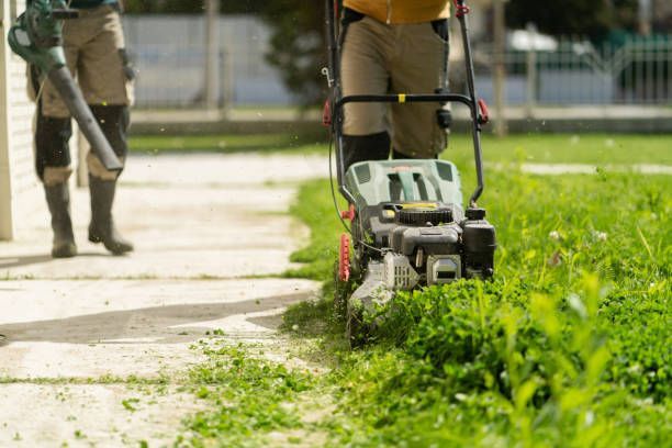 A man is mowing a lush green lawn with a lawn mower.