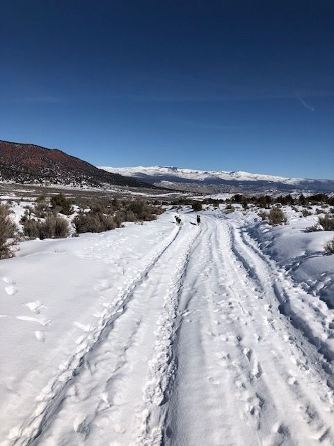 A snowy road with mountains in the background and a blue sky