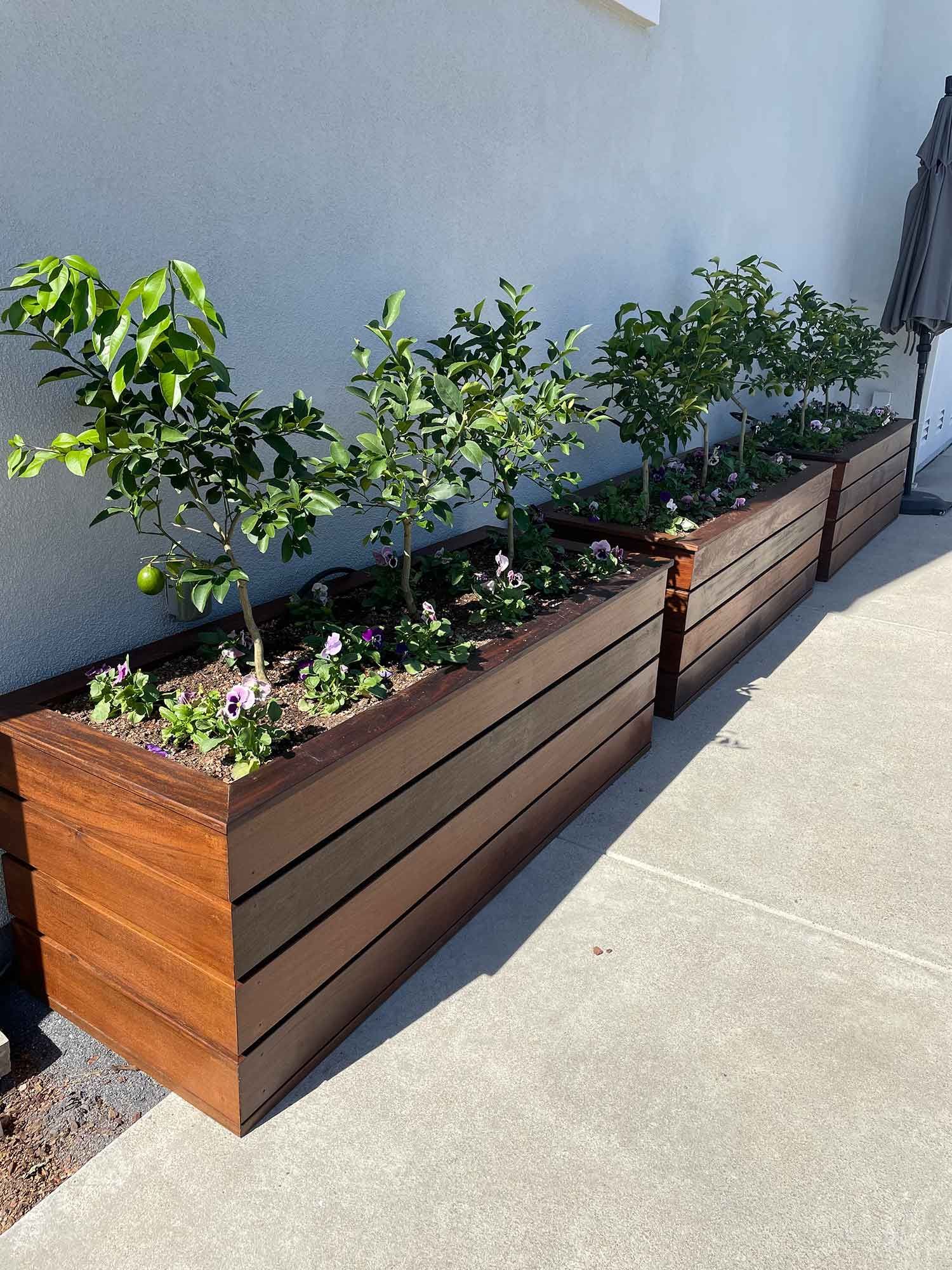 A row of wooden planters filled with plants and flowers.