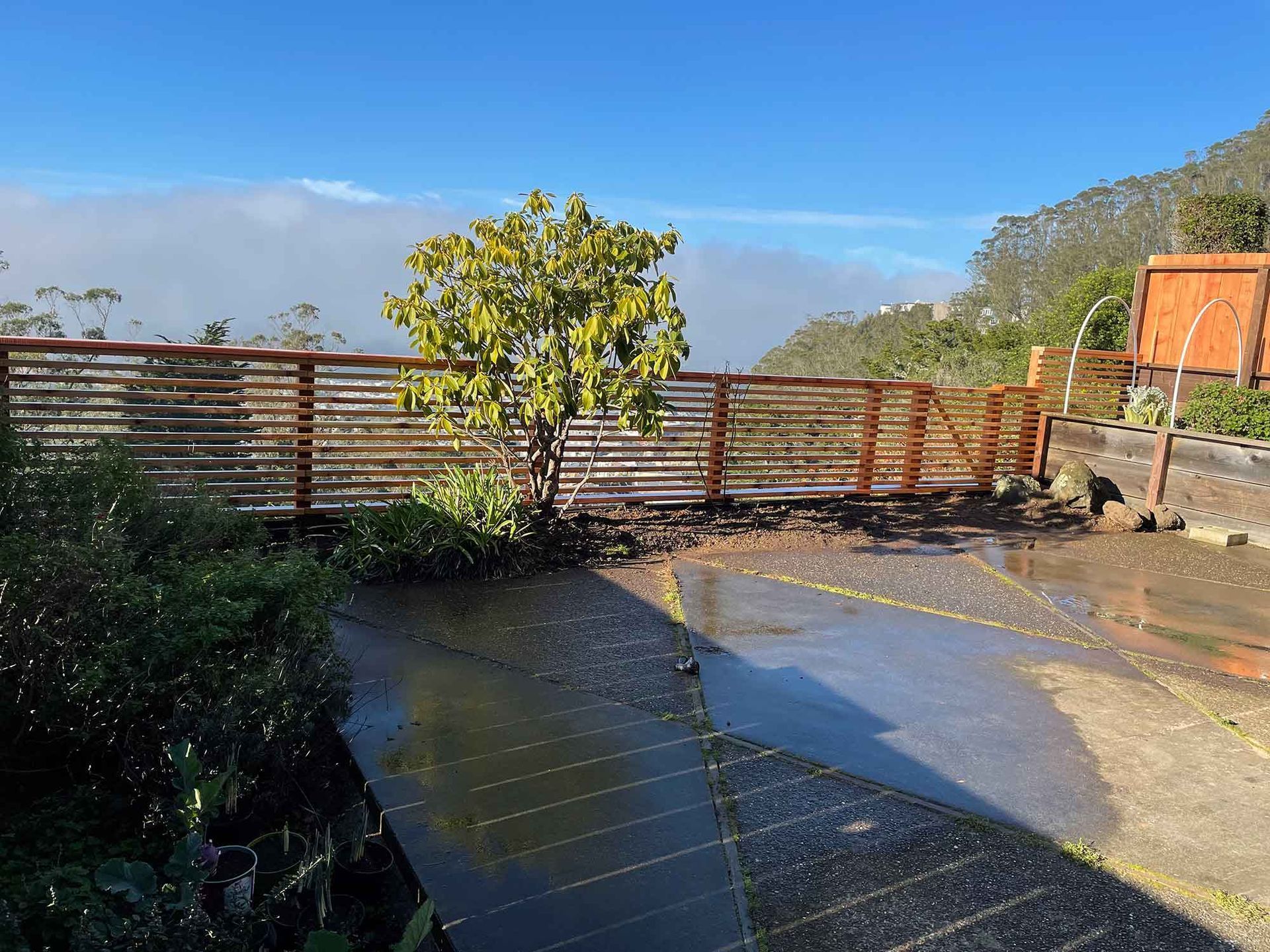 A wooden fence surrounds a concrete walkway with a tree in the background.