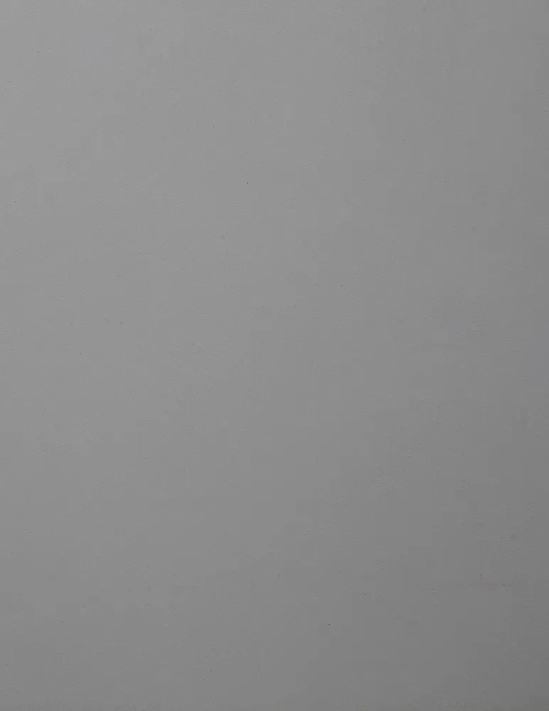 Silver Garage Finish