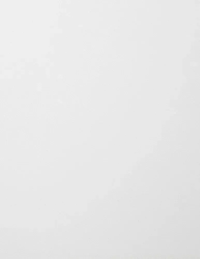 White Garage Cabinet Finish