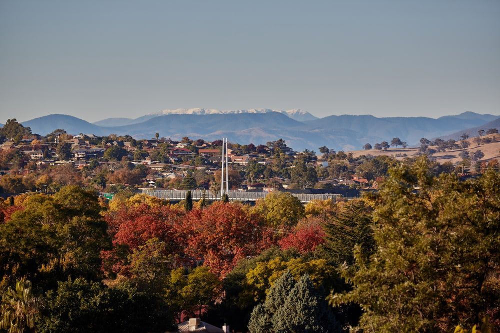A Landscape With Trees And Mountains In The Background — RAFFBRO Electrical Solar & Air Conditioning In Albury, NSW
