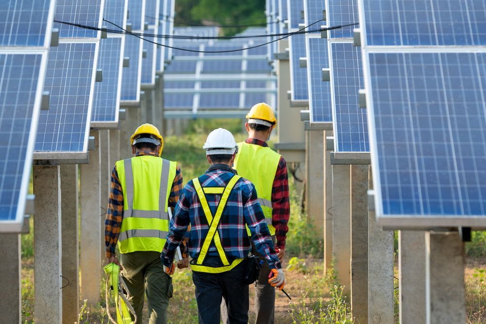 Workers Are Walking Through A Field Of Solar Panels — RAFFBRO Electrical Solar & Air Conditioning In Rutherglen, VIC