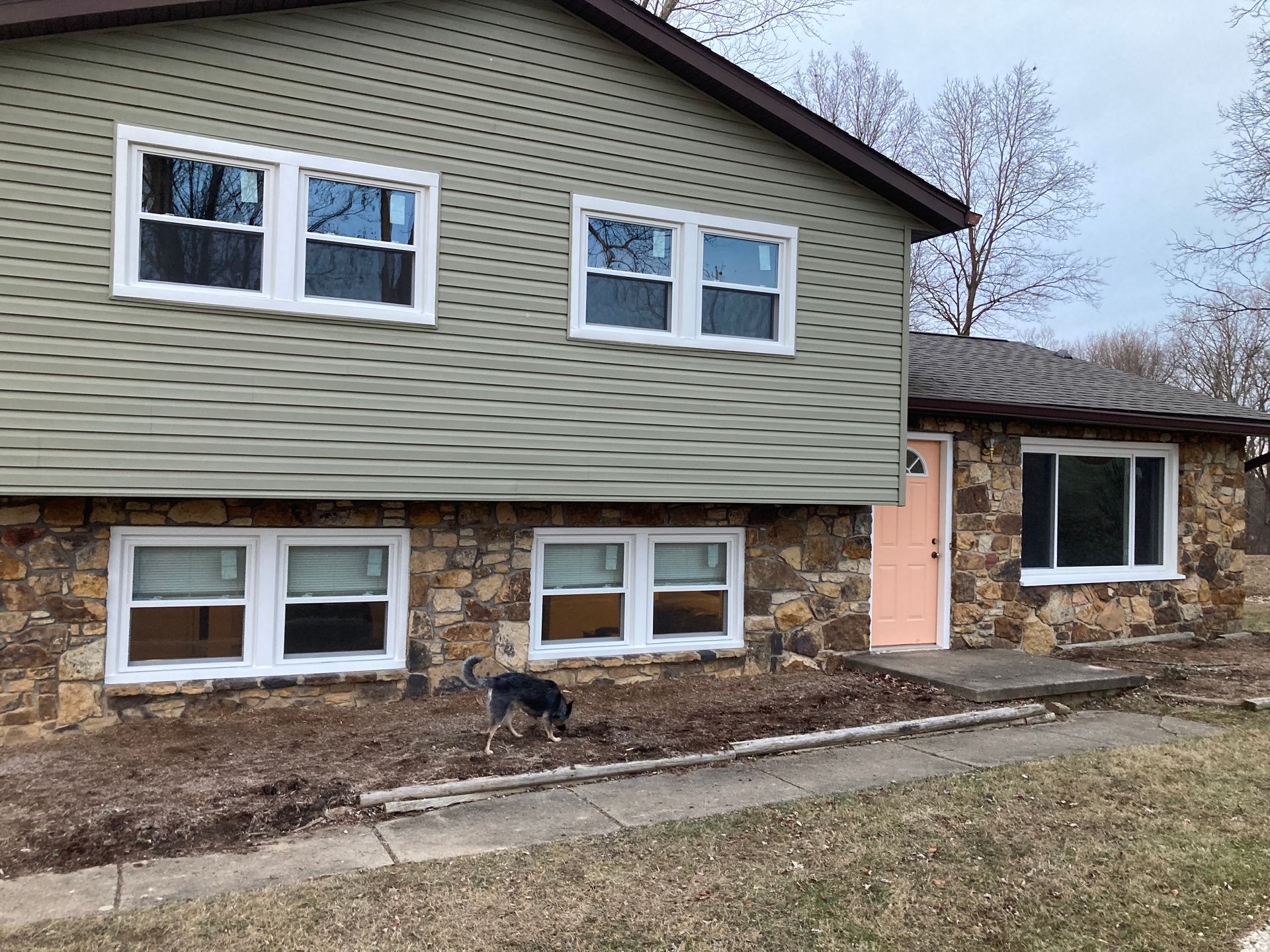 A house with a dog standing in front of it.