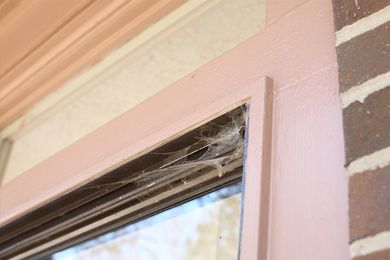 Spider Web on Sliding Door - Exterminator in Fort Collins, CO