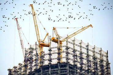 Se está construyendo un edificio con grúas y pájaros volando a su alrededor.