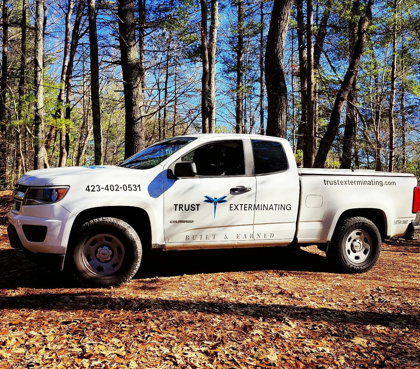 A white truck is parked in the middle of a forest