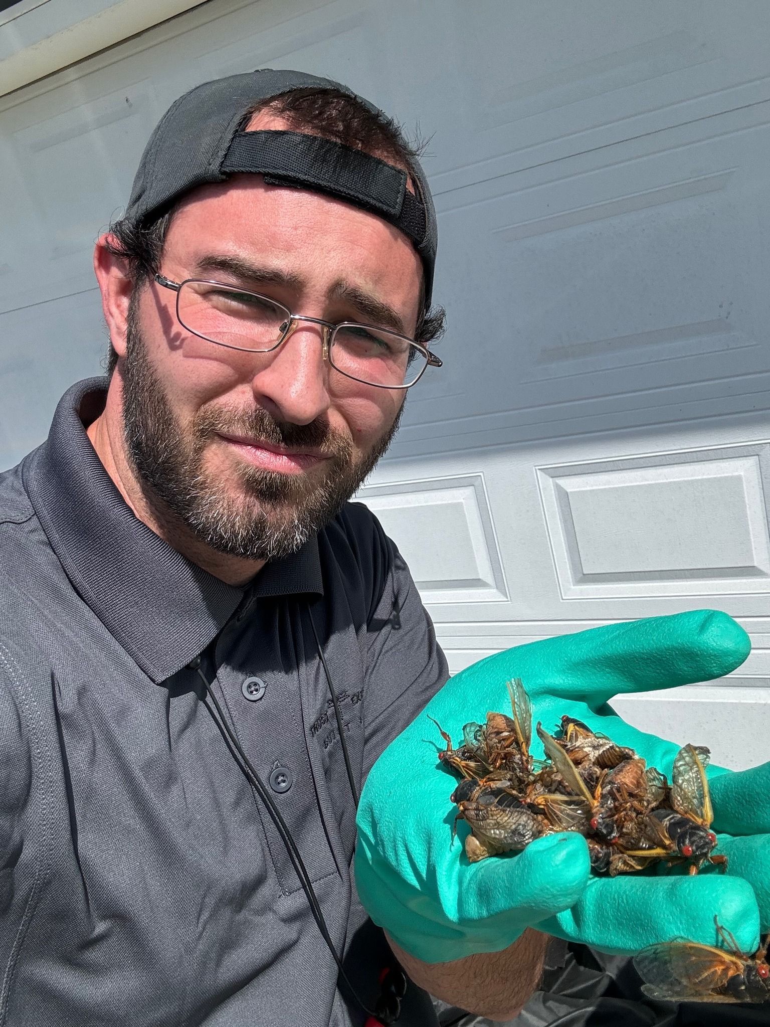 A man is holding a bunch of bugs in his hands.