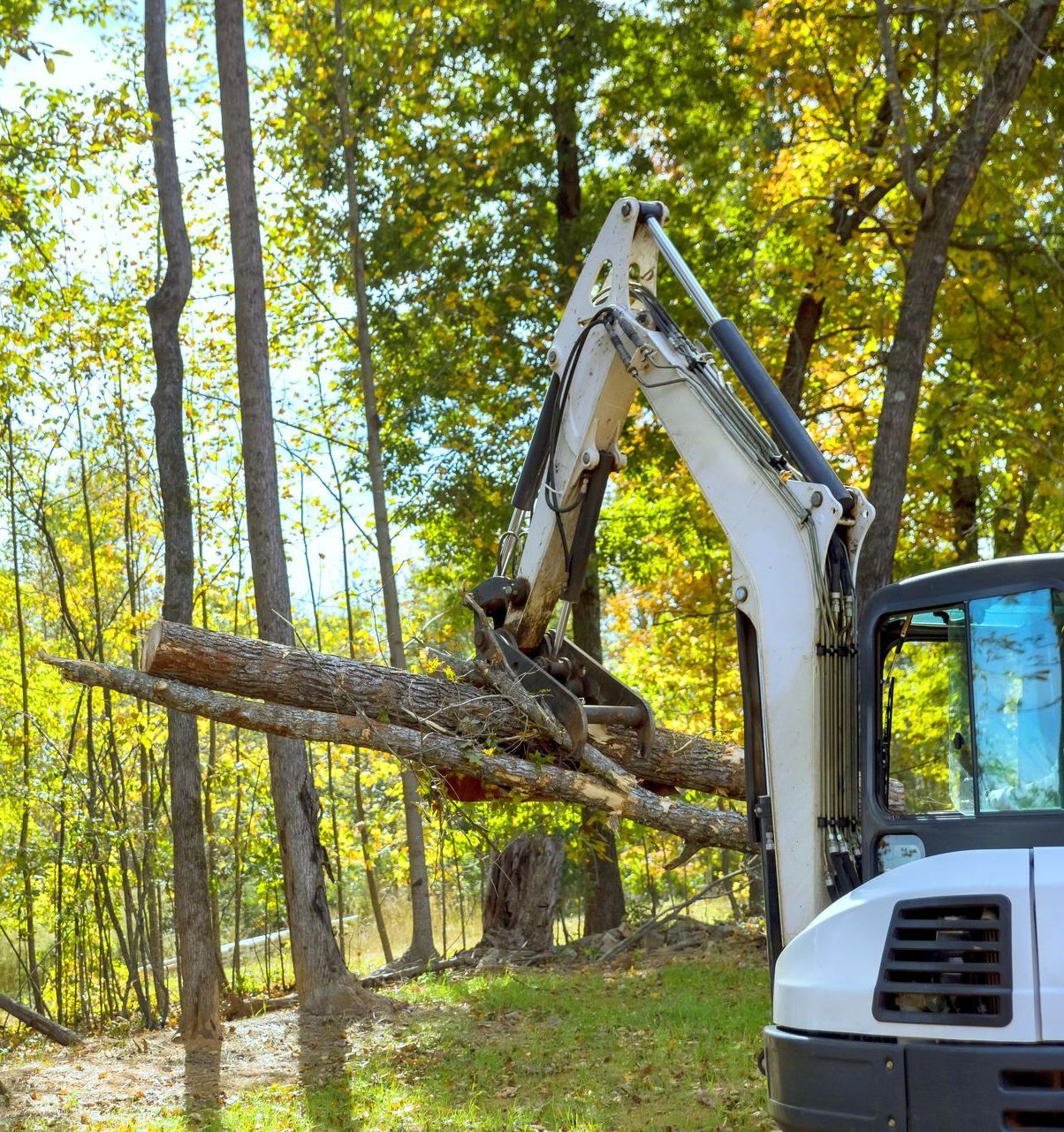 Palmetto Clearing & Demo, York County SC, Rock Hill SC, Fort Mill SC, Clover SC, York SC, McConnells SC, Lake Wylie SC, Tega-Cay SC, Newport SC, Sharon SC, Catawba SC, India Hook SC, Lesslie SC, Chester County SC, Edgemoor SC, Richburg SC, Fort Lawn SC, Lancaster County SC, Indian Land SC, Lancaster SC, Land Clearing Company, Land Clearing Company Near Me, York County Land Clearing Company, Rock Hill Land Clearing Company, Fort Mill Land Clearing Company, Clover Land Clearing Company, York Land Clearing Company, McConnells Land Clearing Company, Lake Wylie Land Clearing Company, Tega-Cay Land Clearing Company, Newport Land Clearing Company, Sharon Land Clearing Company, Catawba Land Clearing Company, India Hook Land Clearing Company, Lesslie Land Clearing Company, Chester County Land Clearing Company, Edgemoor Land Clearing Company, Richburg Land Clearing Company, Fort Lawn Land Clearing Company, Lancaster County Land Clearing Company, India Land Land Clearing Company, Lancaster Land Clearing Company, Residential Land Clearing, Lot Clearing, Lot Preparation, Tree Felling, Tree Removal, Stump Grinding, Stump Removal, Brush Clearing, Brush Cutting, Dirt Work, Land Solutions, Land Management, Excavation Contractor, Residential Excavation Services, Excavation Company, Excavation Company Near Me, York County Excavation Company, Rock Hill Excavation Company, Fort Mill Excavation Company, Clover Excavation Company, York Excavation Company, McConnells Excavation Company, Lake Wylie Excavation Company, Tega-Cay Excavation Company, Newport Excavation Company, Sharon Excavation Company, Catawba Excavation Company, India Hook Excavation Company, Lesslie Excavation Company, Chester County Excavation Company, Edgemoor Excavation Company, Richburg Excavation Company, Fort Lawn Excavation Company, Lancaster County Excavation Company, Indian Land Excavation Company, Lancaster Excavation Company, Light Grading, Residential Grading Contractor, Land Leveling, Demolition Contractor, Demolition Company, Demolition Company Near Me, York County Demolition Company, Rock Hill Demolition Company, Fort Mill Demolition Company, Clover Demolition Company, York Demolition Company, McConnells Demolition Company, Lake Wylie Demolition Company, Tega-Cay Demolition Company, Newport Demolition Company, Sharon Demolition Company, Catawba Demolition Company, India Hook Demolition Company, Lesslie Demolition Company, Chester County Demolition Company, Edgemoor Demolition Company, Richburg Demolition Company, Fort Lawn Demolition Company, Lancaster County Demolition Company, Indian Land Demolition Company, Lancaster Demolition Company, Residential Demolition, Building Removal, Shed Removal, House Demolition, Barn Demolition, Septic Tank Demolition, Walkway Demolition, Driveway Demolition, Concrete Demolition, Trenching Services, Drainage Services, Drainage Contractor, Drainage Company Near Me, Drainage Installation, Yard Drainage, French Drain Installation, French Drain Replacement