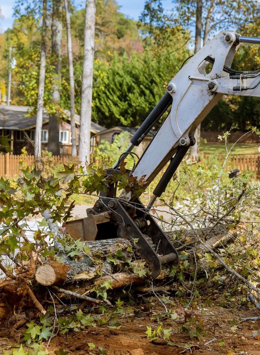 Palmetto Clearing & Demo, York County SC, Rock Hill SC, Fort Mill SC, Clover SC, York SC, McConnells SC, Lake Wylie SC, Tega-Cay SC, Newport SC, Sharon SC, Catawba SC, India Hook SC, Lesslie SC, Chester County SC, Edgemoor SC, Richburg SC, Fort Lawn SC, Lancaster County SC, Indian Land SC, Lancaster SC, Land Clearing Company, Land Clearing Company Near Me, York County Land Clearing Company, Rock Hill Land Clearing Company, Fort Mill Land Clearing Company, Clover Land Clearing Company, York Land Clearing Company, McConnells Land Clearing Company, Lake Wylie Land Clearing Company, Tega-Cay Land Clearing Company, Newport Land Clearing Company, Sharon Land Clearing Company, Catawba Land Clearing Company, India Hook Land Clearing Company, Lesslie Land Clearing Company, Chester County Land Clearing Company, Edgemoor Land Clearing Company, Richburg Land Clearing Company, Fort Lawn Land Clearing Company, Lancaster County Land Clearing Company, India Land Land Clearing Company, Lancaster Land Clearing Company, Residential Land Clearing, Lot Clearing, Lot Preparation, Tree Felling, Tree Removal, Stump Grinding, Stump Removal, Brush Clearing, Brush Cutting, Dirt Work, Land Solutions, Land Management, Excavation Contractor, Residential Excavation Services, Excavation Company, Excavation Company Near Me, York County Excavation Company, Rock Hill Excavation Company, Fort Mill Excavation Company, Clover Excavation Company, York Excavation Company, McConnells Excavation Company, Lake Wylie Excavation Company, Tega-Cay Excavation Company, Newport Excavation Company, Sharon Excavation Company, Catawba Excavation Company, India Hook Excavation Company, Lesslie Excavation Company, Chester County Excavation Company, Edgemoor Excavation Company, Richburg Excavation Company, Fort Lawn Excavation Company, Lancaster County Excavation Company, Indian Land Excavation Company, Lancaster Excavation Company, Light Grading, Residential Grading Contractor, Land Leveling, Demolition Contractor, Demolition Company, Demolition Company Near Me, York County Demolition Company, Rock Hill Demolition Company, Fort Mill Demolition Company, Clover Demolition Company, York Demolition Company, McConnells Demolition Company, Lake Wylie Demolition Company, Tega-Cay Demolition Company, Newport Demolition Company, Sharon Demolition Company, Catawba Demolition Company, India Hook Demolition Company, Lesslie Demolition Company, Chester County Demolition Company, Edgemoor Demolition Company, Richburg Demolition Company, Fort Lawn Demolition Company, Lancaster County Demolition Company, Indian Land Demolition Company, Lancaster Demolition Company, Residential Demolition, Building Removal, Shed Removal, House Demolition, Barn Demolition, Septic Tank Demolition, Walkway Demolition, Driveway Demolition, Concrete Demolition, Trenching Services, Drainage Services, Drainage Contractor, Drainage Company Near Me, Drainage Installation, Yard Drainage, French Drain Installation, French Drain Replacement