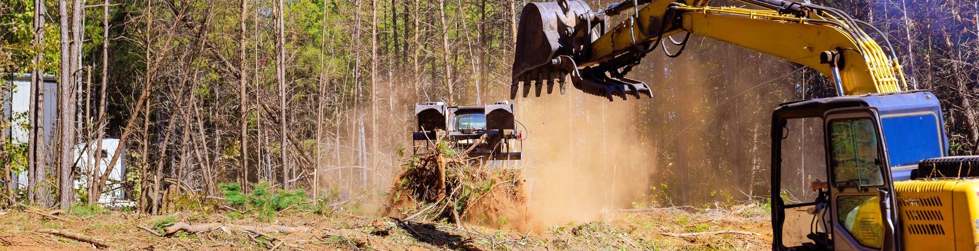 Palmetto Clearing & Demo, York County SC, Rock Hill SC, Fort Mill SC, Clover SC, York SC, McConnells SC, Lake Wylie SC, Tega-Cay SC, Newport SC, Sharon SC, Catawba SC, India Hook SC, Lesslie SC, Chester County SC, Edgemoor SC, Richburg SC, Fort Lawn SC, Lancaster County SC, Indian Land SC, Lancaster SC, Land Clearing Company, Land Clearing Company Near Me, York County Land Clearing Company, Rock Hill Land Clearing Company, Fort Mill Land Clearing Company, Clover Land Clearing Company, York Land Clearing Company, McConnells Land Clearing Company, Lake Wylie Land Clearing Company, Tega-Cay Land Clearing Company, Newport Land Clearing Company, Sharon Land Clearing Company, Catawba Land Clearing Company, India Hook Land Clearing Company, Lesslie Land Clearing Company, Chester County Land Clearing Company, Edgemoor Land Clearing Company, Richburg Land Clearing Company, Fort Lawn Land Clearing Company, Lancaster County Land Clearing Company, India Land Land Clearing Company, Lancaster Land Clearing Company, Residential Land Clearing, Lot Clearing, Lot Preparation, Tree Felling, Tree Removal, Stump Grinding, Stump Removal, Brush Clearing, Brush Cutting, Dirt Work, Land Solutions, Land Management, Excavation Contractor, Residential Excavation Services, Excavation Company, Excavation Company Near Me, York County Excavation Company, Rock Hill Excavation Company, Fort Mill Excavation Company, Clover Excavation Company, York Excavation Company, McConnells Excavation Company, Lake Wylie Excavation Company, Tega-Cay Excavation Company, Newport Excavation Company, Sharon Excavation Company, Catawba Excavation Company, India Hook Excavation Company, Lesslie Excavation Company, Chester County Excavation Company, Edgemoor Excavation Company, Richburg Excavation Company, Fort Lawn Excavation Company, Lancaster County Excavation Company, Indian Land Excavation Company, Lancaster Excavation Company, Light Grading, Residential Grading Contractor, Land Leveling, Demolition Contractor, Demolition Company, Demolition Company Near Me, York County Demolition Company, Rock Hill Demolition Company, Fort Mill Demolition Company, Clover Demolition Company, York Demolition Company, McConnells Demolition Company, Lake Wylie Demolition Company, Tega-Cay Demolition Company, Newport Demolition Company, Sharon Demolition Company, Catawba Demolition Company, India Hook Demolition Company, Lesslie Demolition Company, Chester County Demolition Company, Edgemoor Demolition Company, Richburg Demolition Company, Fort Lawn Demolition Company, Lancaster County Demolition Company, Indian Land Demolition Company, Lancaster Demolition Company, Residential Demolition, Building Removal, Shed Removal, House Demolition, Barn Demolition, Septic Tank Demolition, Walkway Demolition, Driveway Demolition, Concrete Demolition, Trenching Services, Drainage Services, Drainage Contractor, Drainage Company Near Me, Drainage Installation, Yard Drainage, French Drain Installation, French Drain Replacement