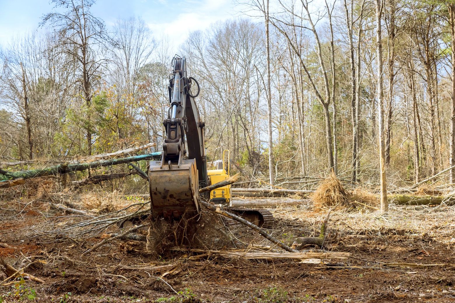 Palmetto Clearing & Demo, York County SC, Rock Hill SC, Fort Mill SC, Clover SC, York SC, McConnells SC, Lake Wylie SC, Tega-Cay SC, Newport SC, Sharon SC, Catawba SC, India Hook SC, Lesslie SC, Chester County SC, Edgemoor SC, Richburg SC, Fort Lawn SC, Lancaster County SC, Indian Land SC, Lancaster SC, Land Clearing Company, Land Clearing Company Near Me, York County Land Clearing Company, Rock Hill Land Clearing Company, Fort Mill Land Clearing Company, Clover Land Clearing Company, York Land Clearing Company, McConnells Land Clearing Company, Lake Wylie Land Clearing Company, Tega-Cay Land Clearing Company, Newport Land Clearing Company, Sharon Land Clearing Company, Catawba Land Clearing Company, India Hook Land Clearing Company, Lesslie Land Clearing Company, Chester County Land Clearing Company, Edgemoor Land Clearing Company, Richburg Land Clearing Company, Fort Lawn Land Clearing Company, Lancaster County Land Clearing Company, India Land Land Clearing Company, Lancaster Land Clearing Company, Residential Land Clearing, Lot Clearing, Lot Preparation, Tree Felling, Tree Removal, Stump Grinding, Stump Removal, Brush Clearing, Brush Cutting, Dirt Work, Land Solutions, Land Management, Excavation Contractor, Residential Excavation Services, Excavation Company, Excavation Company Near Me, York County Excavation Company, Rock Hill Excavation Company, Fort Mill Excavation Company, Clover Excavation Company, York Excavation Company, McConnells Excavation Company, Lake Wylie Excavation Company, Tega-Cay Excavation Company, Newport Excavation Company, Sharon Excavation Company, Catawba Excavation Company, India Hook Excavation Company, Lesslie Excavation Company, Chester County Excavation Company, Edgemoor Excavation Company, Richburg Excavation Company, Fort Lawn Excavation Company, Lancaster County Excavation Company, Indian Land Excavation Company, Lancaster Excavation Company, Light Grading, Residential Grading Contractor, Land Leveling, Demolition Contractor, Demolition Company, Demolition Company Near Me, York County Demolition Company, Rock Hill Demolition Company, Fort Mill Demolition Company, Clover Demolition Company, York Demolition Company, McConnells Demolition Company, Lake Wylie Demolition Company, Tega-Cay Demolition Company, Newport Demolition Company, Sharon Demolition Company, Catawba Demolition Company, India Hook Demolition Company, Lesslie Demolition Company, Chester County Demolition Company, Edgemoor Demolition Company, Richburg Demolition Company, Fort Lawn Demolition Company, Lancaster County Demolition Company, Indian Land Demolition Company, Lancaster Demolition Company, Residential Demolition, Building Removal, Shed Removal, House Demolition, Barn Demolition, Septic Tank Demolition, Walkway Demolition, Driveway Demolition, Concrete Demolition, Trenching Services, Drainage Services, Drainage Contractor, Drainage Company Near Me, Drainage Installation, Yard Drainage, French Drain Installation, French Drain Replacement