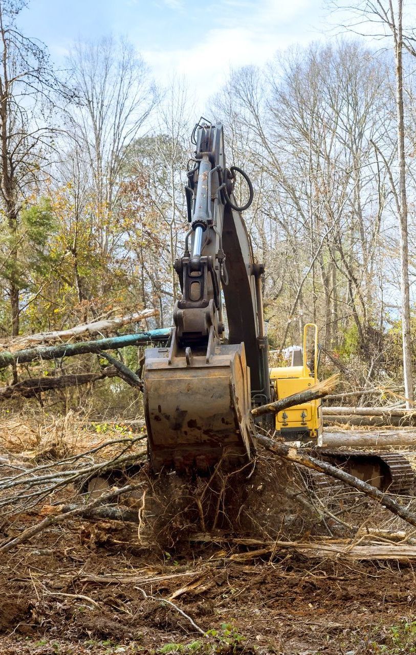 Palmetto Clearing & Demo, York County SC, Rock Hill SC, Fort Mill SC, Clover SC, York SC, McConnells SC, Lake Wylie SC, Tega-Cay SC, Newport SC, Sharon SC, Catawba SC, India Hook SC, Lesslie SC, Chester County SC, Edgemoor SC, Richburg SC, Fort Lawn SC, Lancaster County SC, Indian Land SC, Lancaster SC, Land Clearing Company, Land Clearing Company Near Me, York County Land Clearing Company, Rock Hill Land Clearing Company, Fort Mill Land Clearing Company, Clover Land Clearing Company, York Land Clearing Company, McConnells Land Clearing Company, Lake Wylie Land Clearing Company, Tega-Cay Land Clearing Company, Newport Land Clearing Company, Sharon Land Clearing Company, Catawba Land Clearing Company, India Hook Land Clearing Company, Lesslie Land Clearing Company, Chester County Land Clearing Company, Edgemoor Land Clearing Company, Richburg Land Clearing Company, Fort Lawn Land Clearing Company, Lancaster County Land Clearing Company, India Land Land Clearing Company, Lancaster Land Clearing Company, Residential Land Clearing, Lot Clearing, Lot Preparation, Tree Felling, Tree Removal, Stump Grinding, Stump Removal, Brush Clearing, Brush Cutting, Dirt Work, Land Solutions, Land Management, Excavation Contractor, Residential Excavation Services, Excavation Company, Excavation Company Near Me, York County Excavation Company, Rock Hill Excavation Company, Fort Mill Excavation Company, Clover Excavation Company, York Excavation Company, McConnells Excavation Company, Lake Wylie Excavation Company, Tega-Cay Excavation Company, Newport Excavation Company, Sharon Excavation Company, Catawba Excavation Company, India Hook Excavation Company, Lesslie Excavation Company, Chester County Excavation Company, Edgemoor Excavation Company, Richburg Excavation Company, Fort Lawn Excavation Company, Lancaster County Excavation Company, Indian Land Excavation Company, Lancaster Excavation Company, Light Grading, Residential Grading Contractor, Land Leveling, Demolition Contractor, Demolition Company, Demolition Company Near Me, York County Demolition Company, Rock Hill Demolition Company, Fort Mill Demolition Company, Clover Demolition Company, York Demolition Company, McConnells Demolition Company, Lake Wylie Demolition Company, Tega-Cay Demolition Company, Newport Demolition Company, Sharon Demolition Company, Catawba Demolition Company, India Hook Demolition Company, Lesslie Demolition Company, Chester County Demolition Company, Edgemoor Demolition Company, Richburg Demolition Company, Fort Lawn Demolition Company, Lancaster County Demolition Company, Indian Land Demolition Company, Lancaster Demolition Company, Residential Demolition, Building Removal, Shed Removal, House Demolition, Barn Demolition, Septic Tank Demolition, Walkway Demolition, Driveway Demolition, Concrete Demolition, Trenching Services, Drainage Services, Drainage Contractor, Drainage Company Near Me, Drainage Installation, Yard Drainage, French Drain Installation, French Drain Replacement