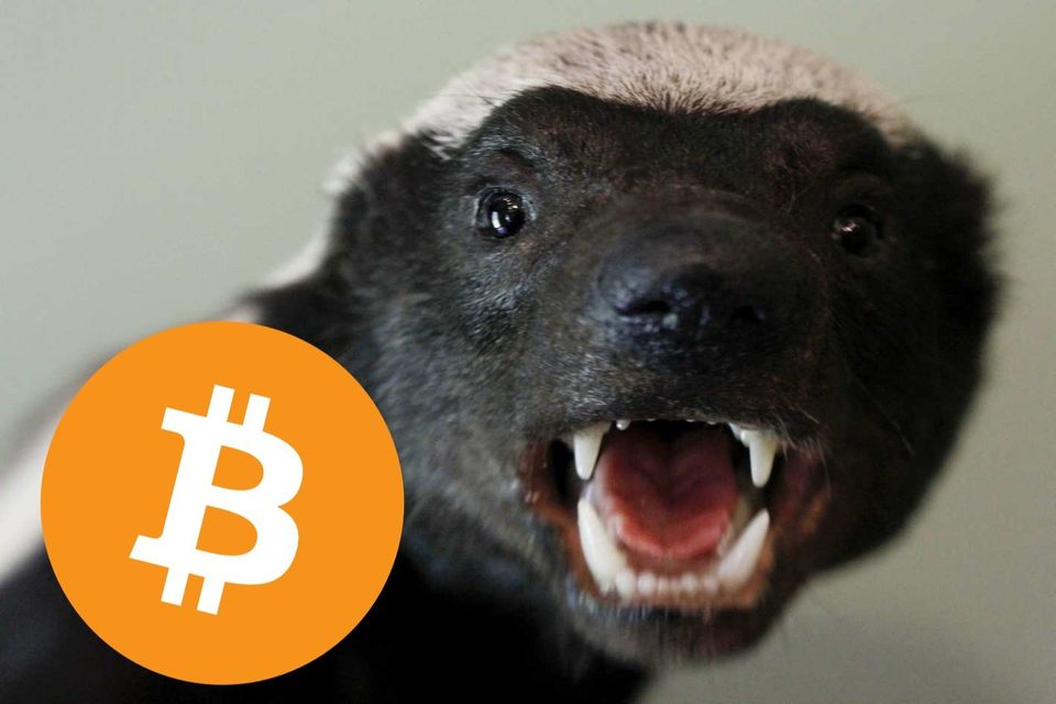 honey badger bitcoin