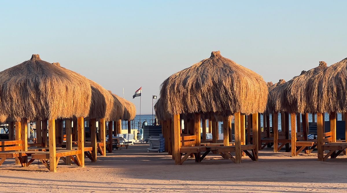 agenzia per amica casoria