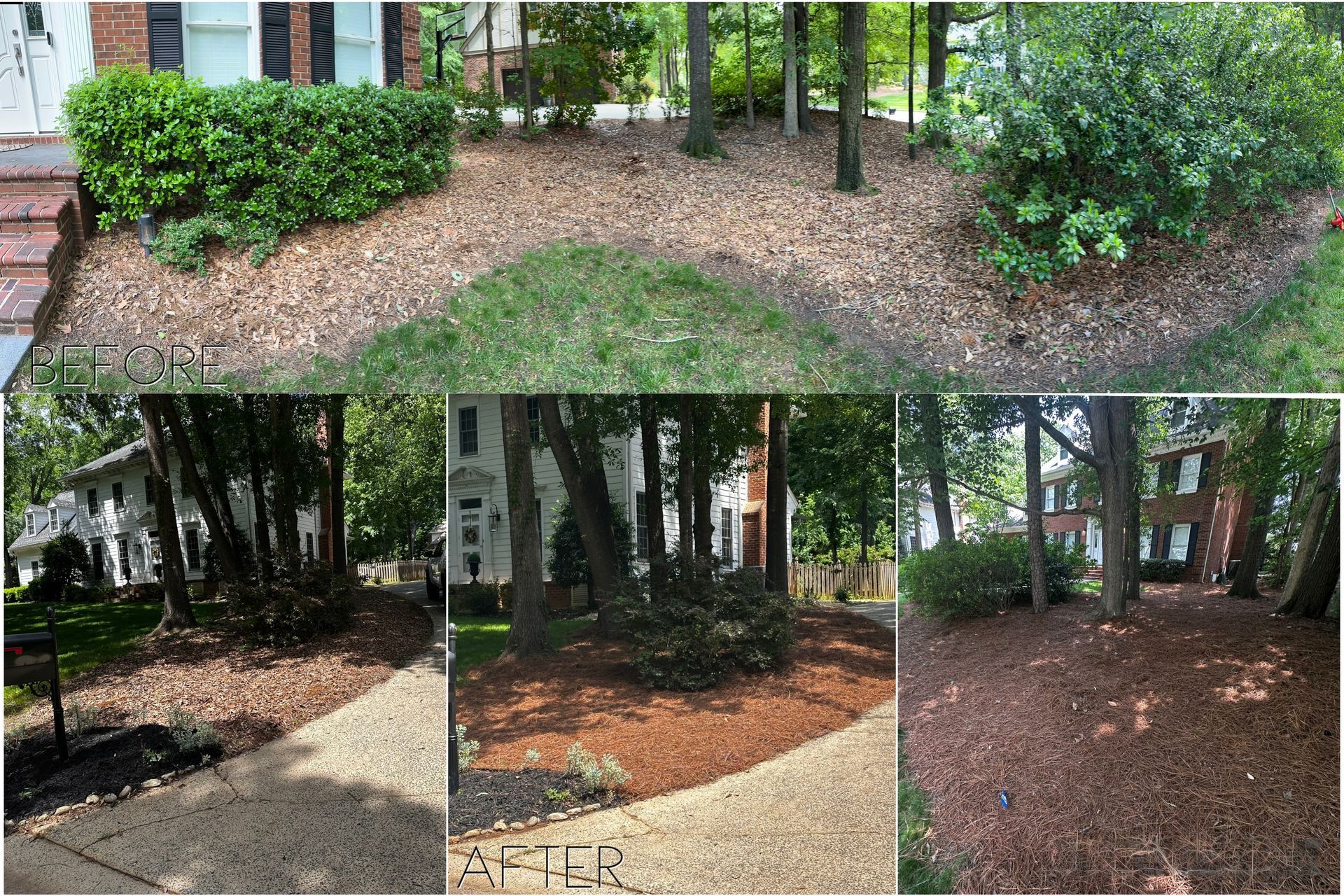 Mulched landscaping around a house. Brown mulch, green bushes, trees, and grass. 