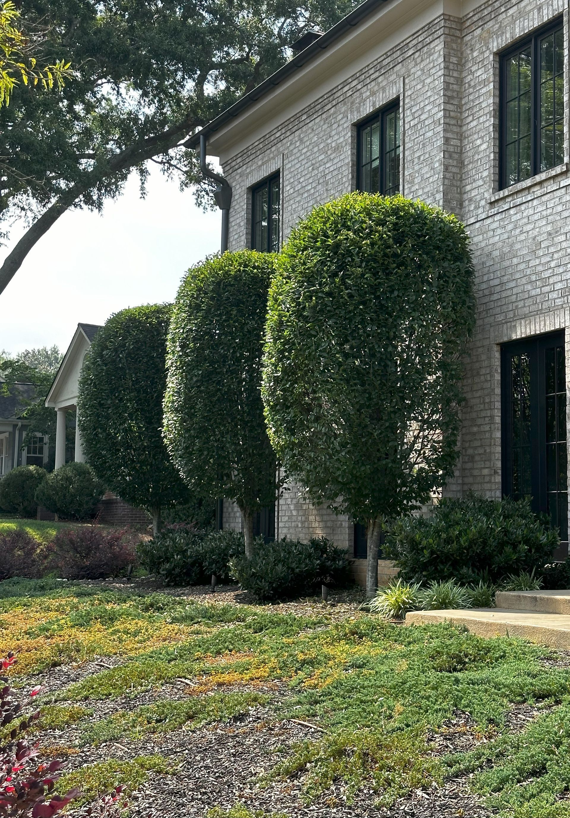 Row of trimmed green trees in front of a light brick house with black window frames, in a yard with colorful plants.