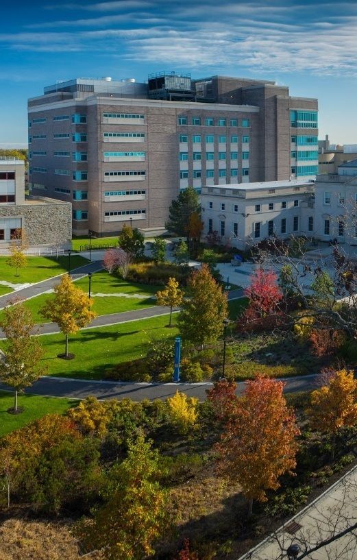 Where Did You Study Dentistry?