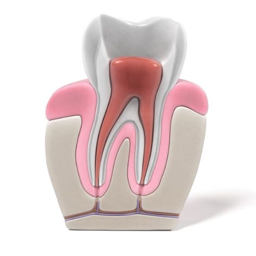 Healing from Root Canal Treatment