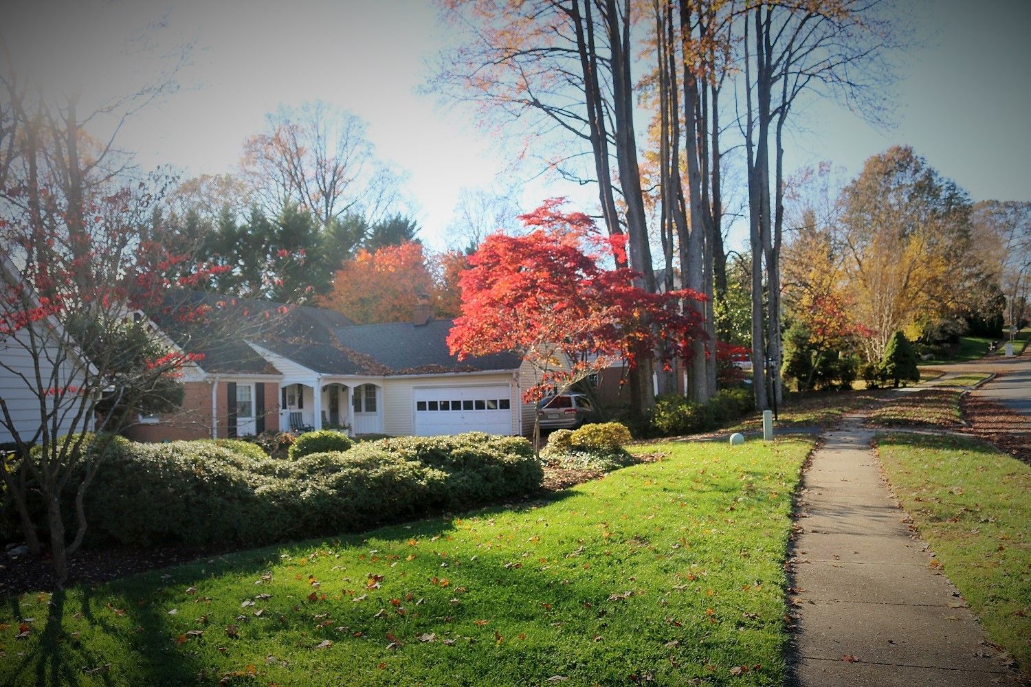 property management services annandale va