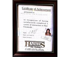 Certificate of Achievement for Hair Chemicals Course - Beauty Salon in Mountain View, CA
