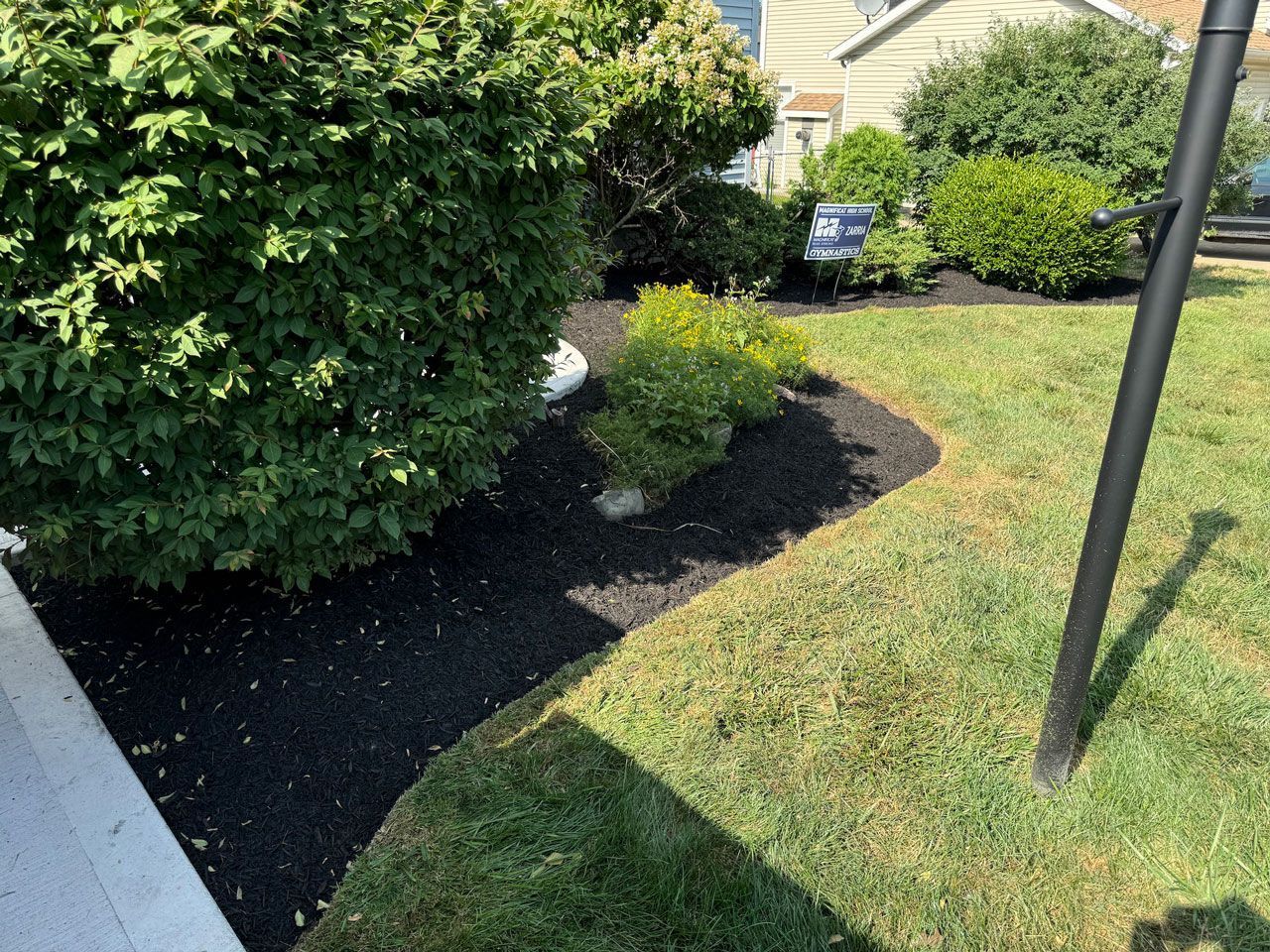 shrub maintenance shrub maintenance