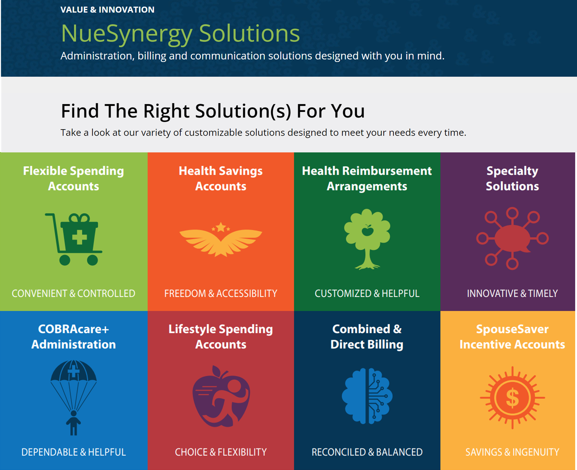 NueSynergy solutions