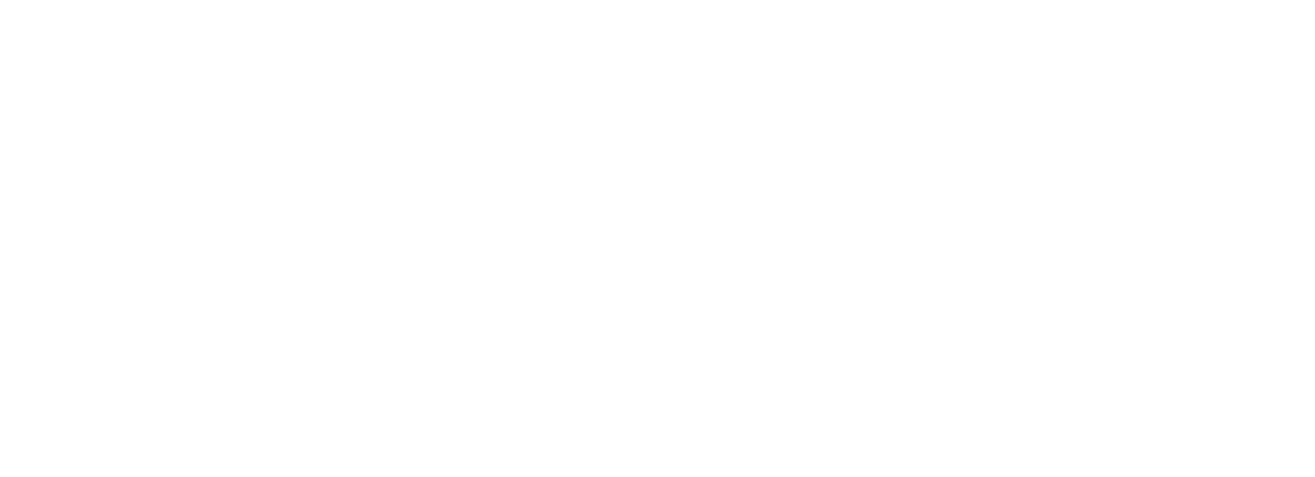 Party Advertisement LLC Logo