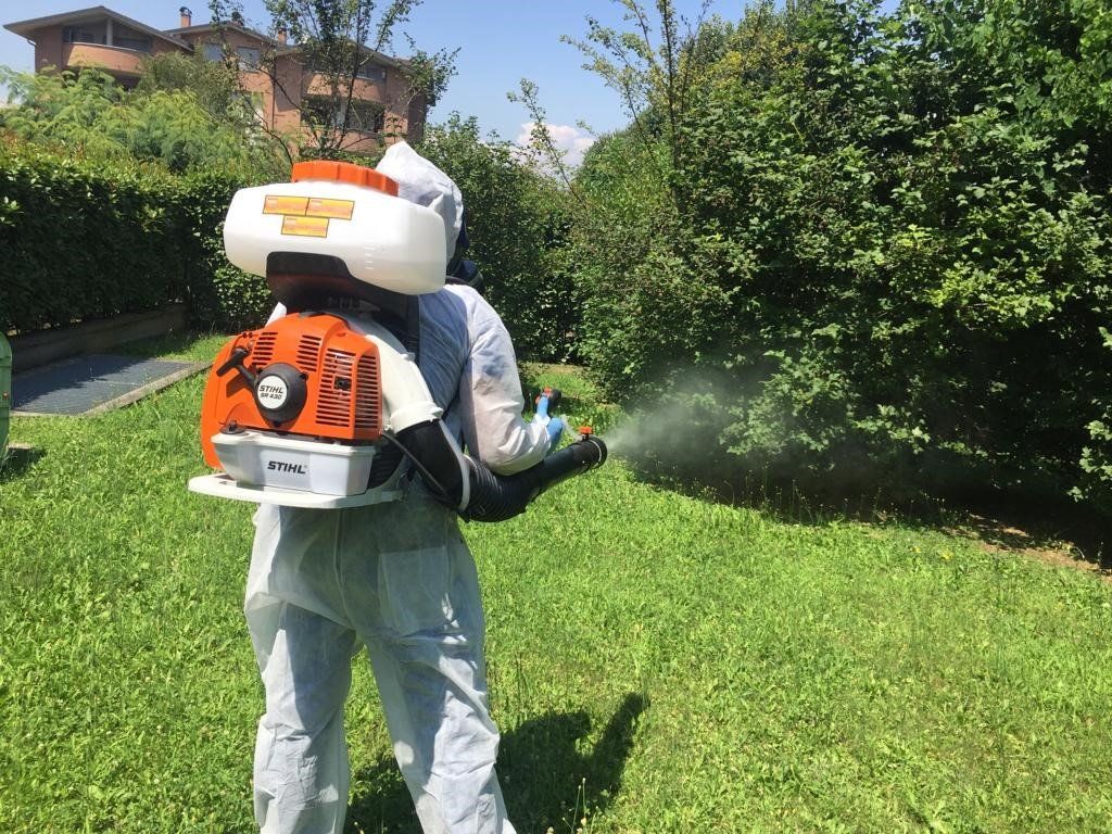 infestazione da topi in una cucina