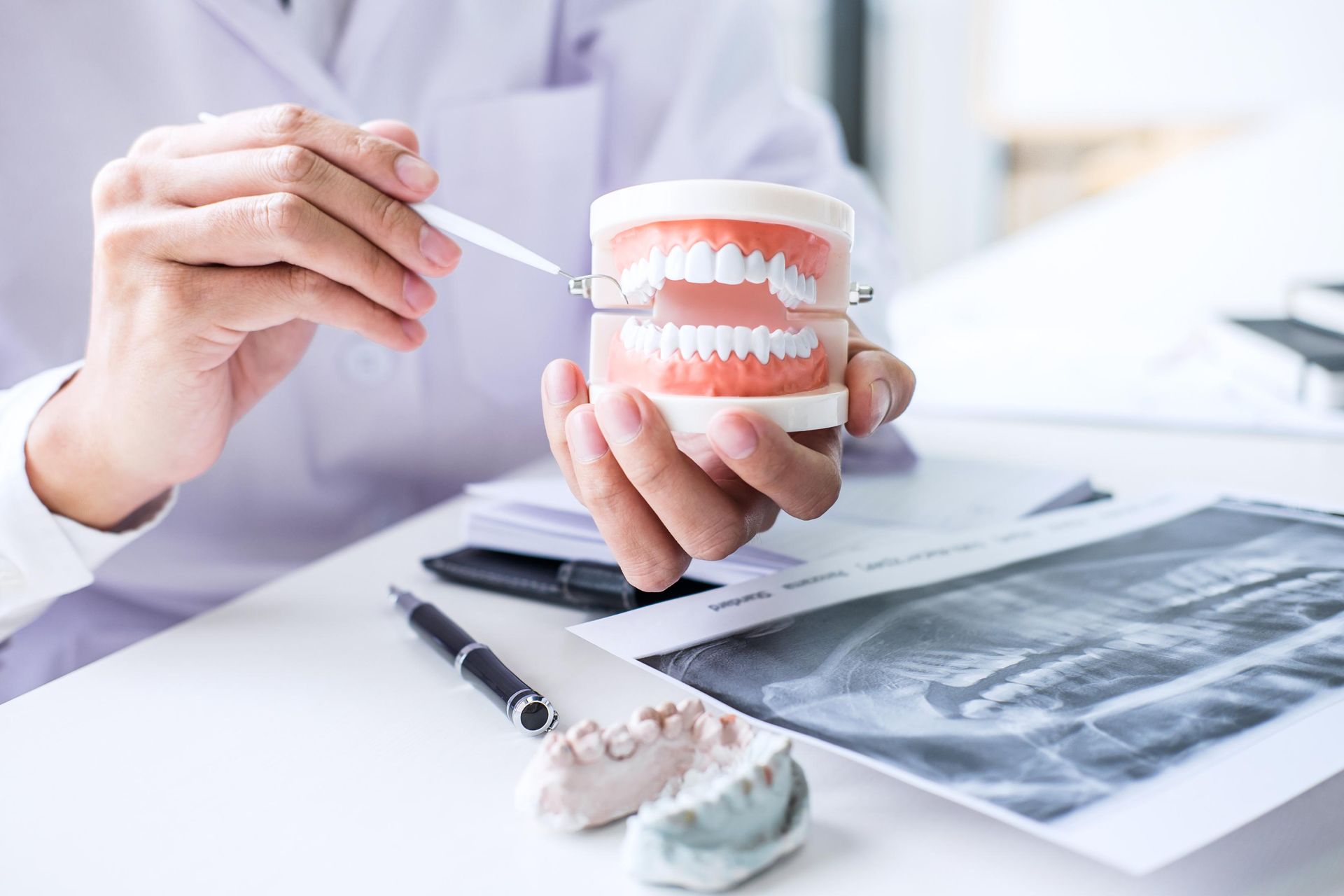 Dentist holding a dental model and pointing with a tool over X-ray images and tooth molds
