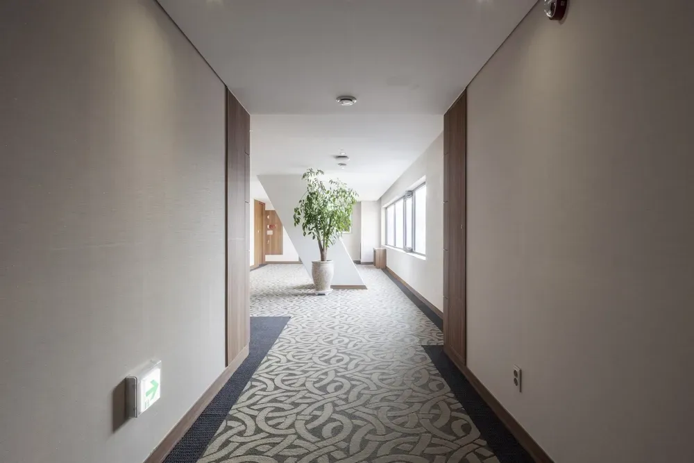 A modern hotel hallway with beige walls, a patterned carpet, and a potted plant in the distance near a white partition. — George Pappas Painting In Buderim, QLD