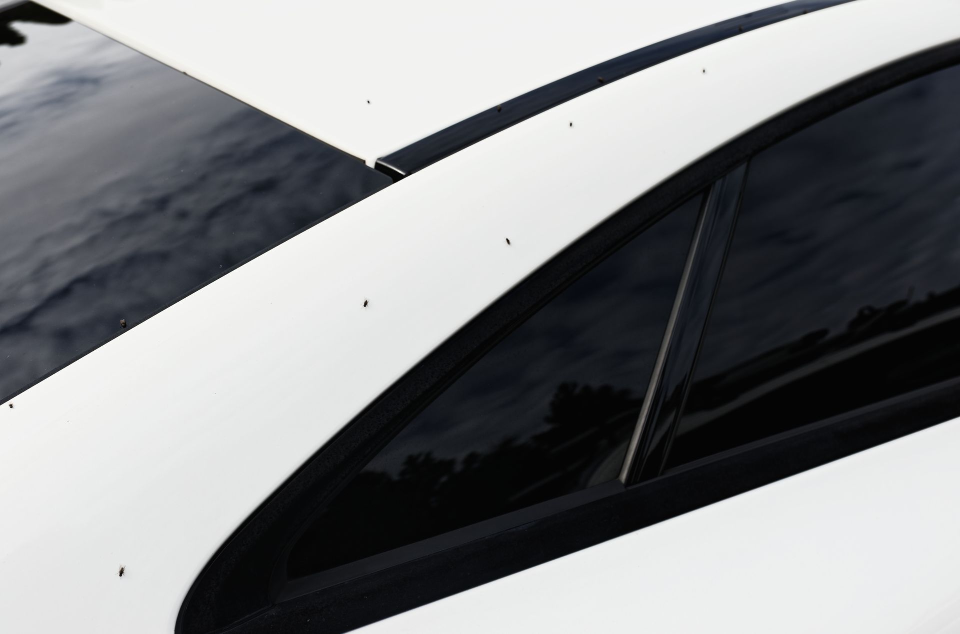 Quarter Car Windows - Redlands, CA - Alpha Auto Glass