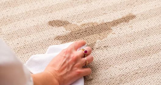 Carpet Stains Removal Expert