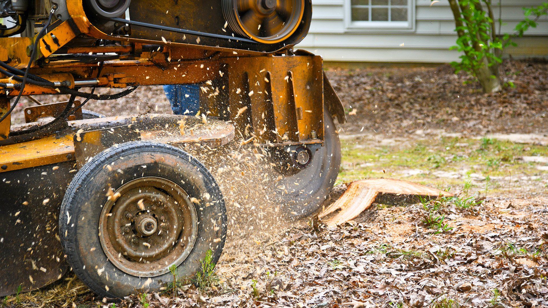 Grinded Stump — Concord, NC — Hinson Tree Service