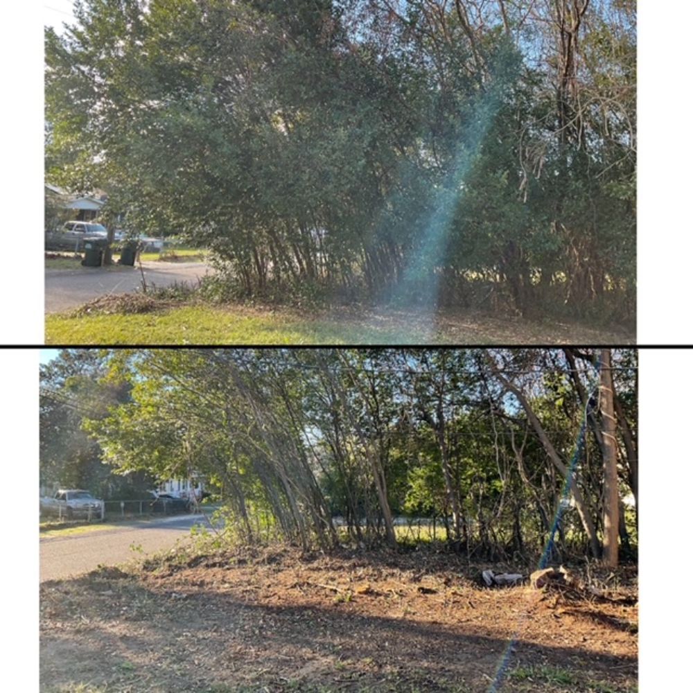 Before And After Forest | Augusta, GA | ZML Exterior Home Care LLC