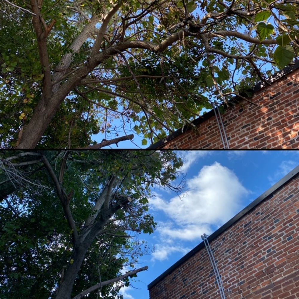 Before And After Terrace | Augusta, GA | ZML Exterior Home Care LLC