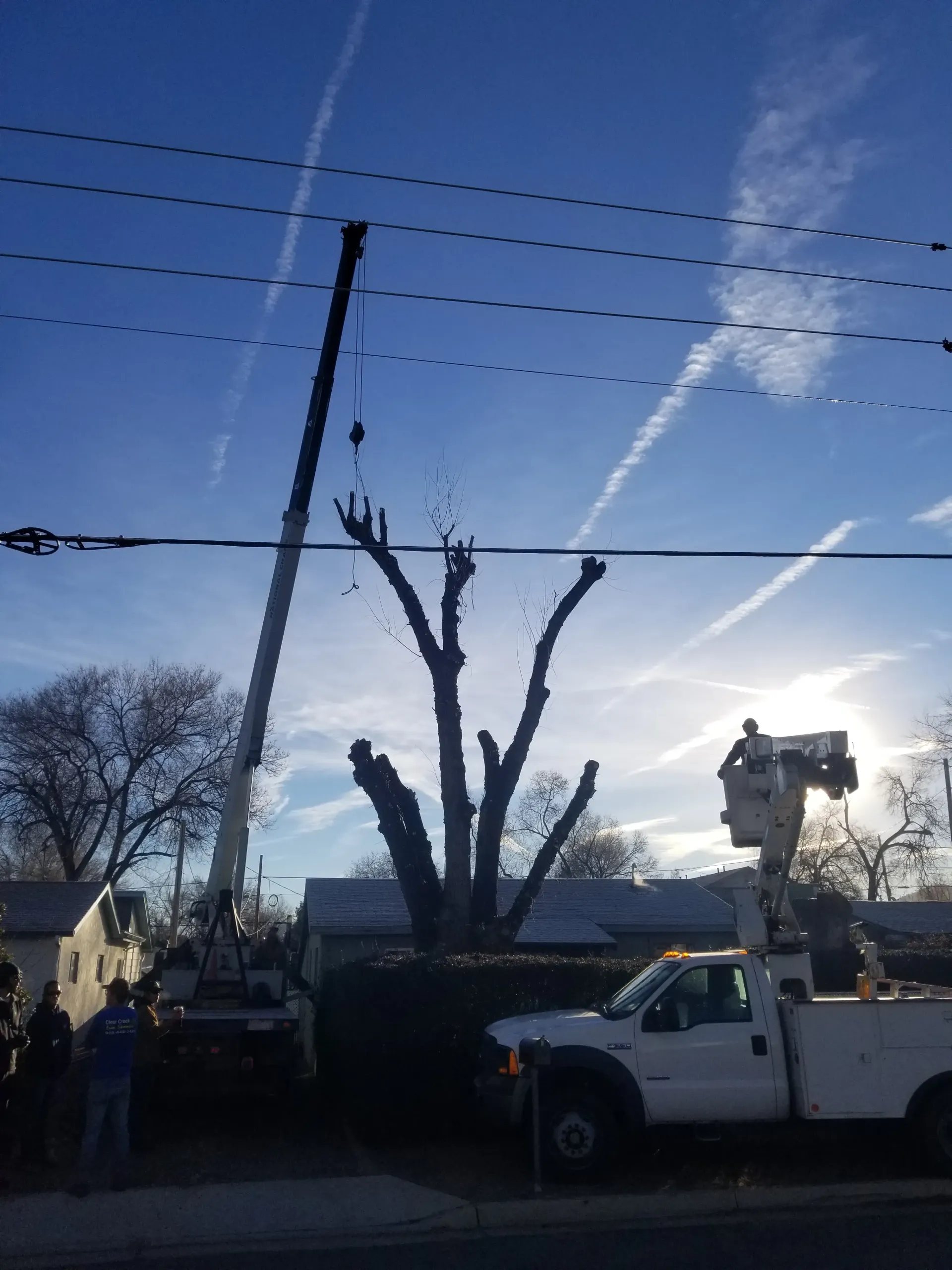 A white truck is parked in front of a tree being cut down A white truck is parked in front of a tree being cut down