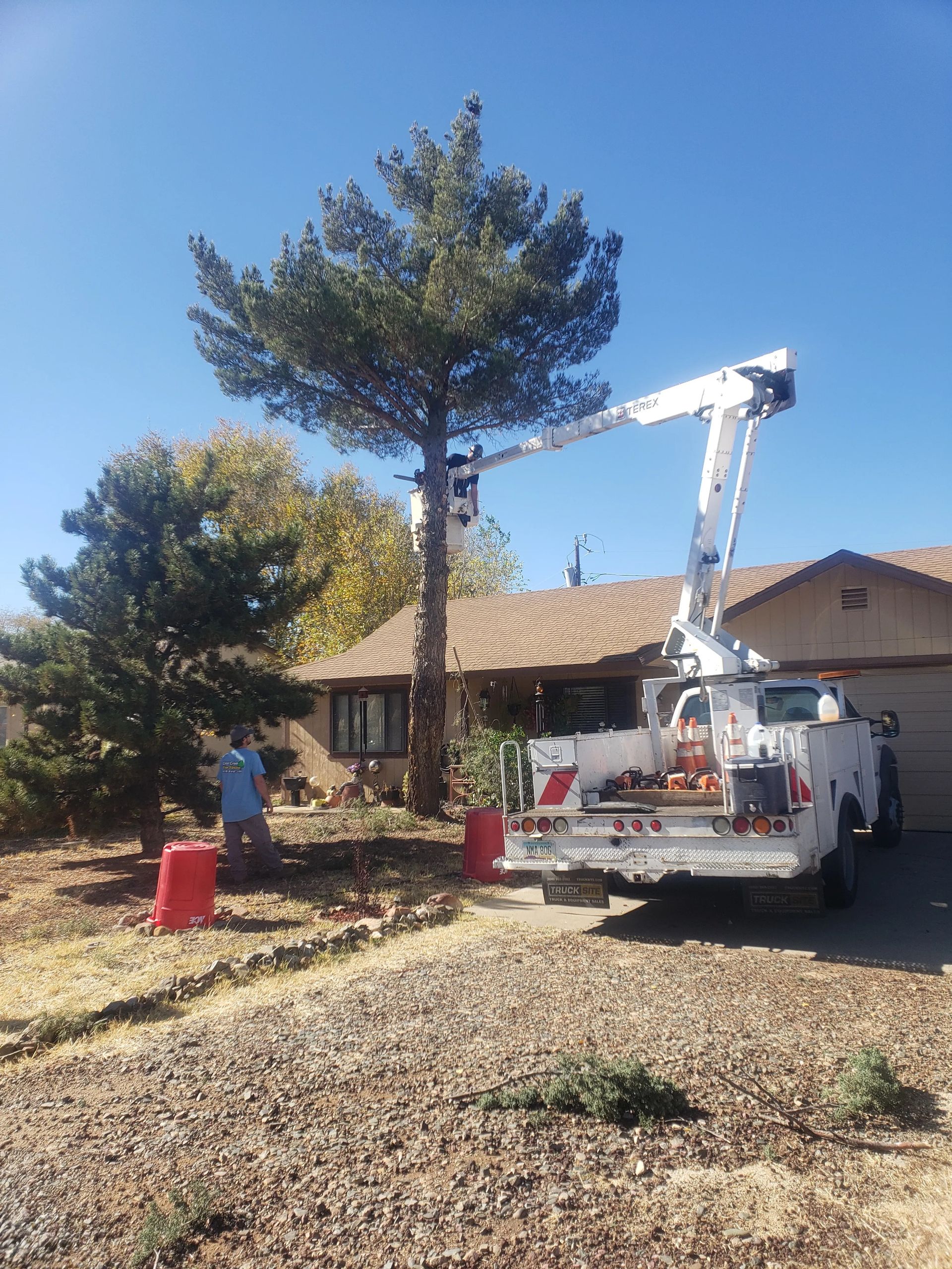 A tree service truck trims a tall tree in front of a house on a sunny day. A worker is on the ground.