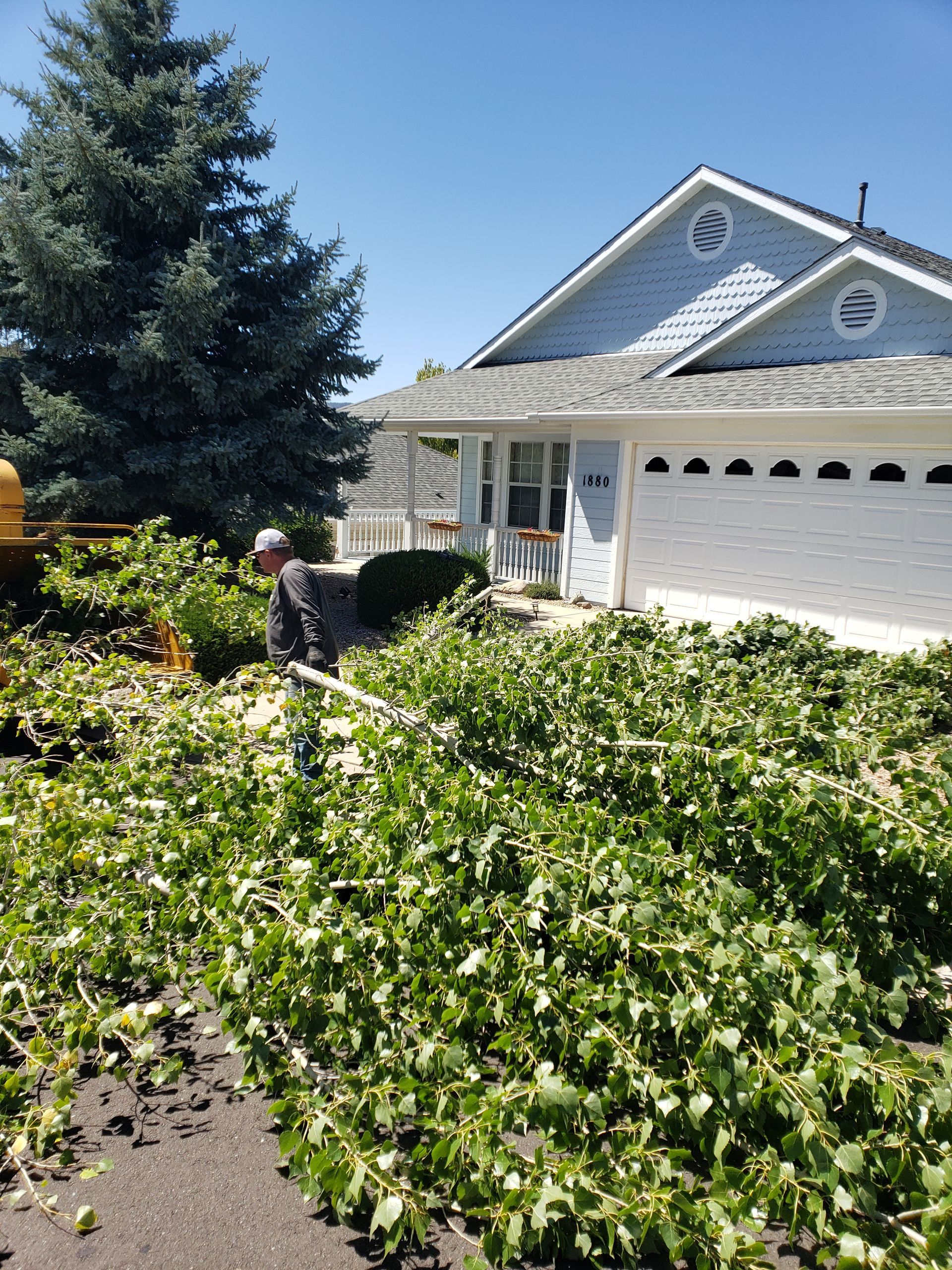 A man is cutting a tree in front of a house.