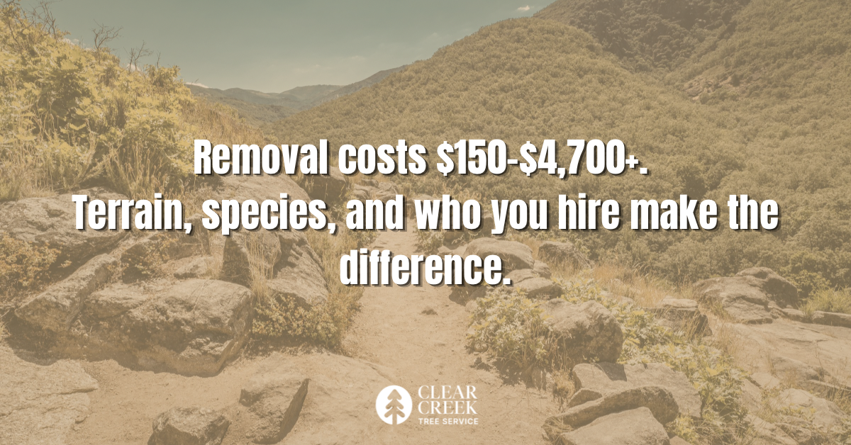 Tree removal cost Prescott AZ Clear Creek Tree Service certified arborist price guide