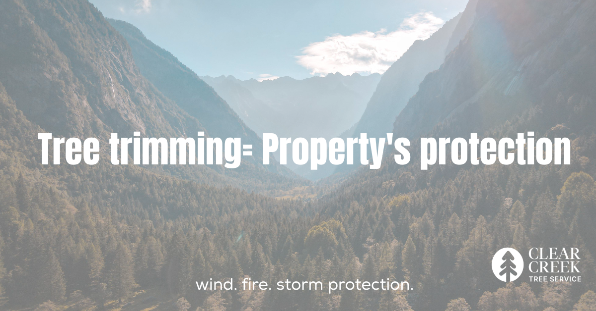 Hand pruning tree limb; text: 