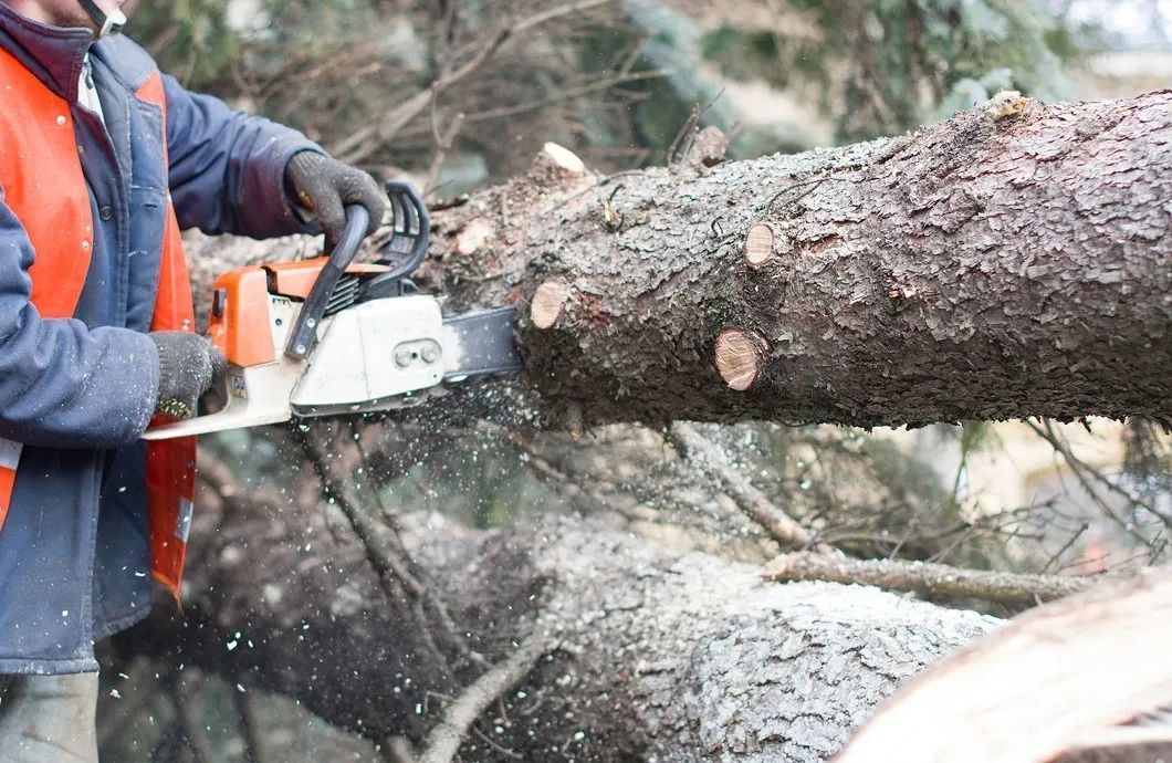 Person using a chainsaw to cut a log, wearing an orange safety vest.