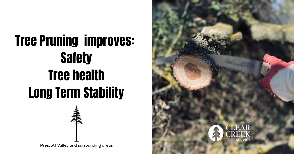 Hand pruning tree limb; text: